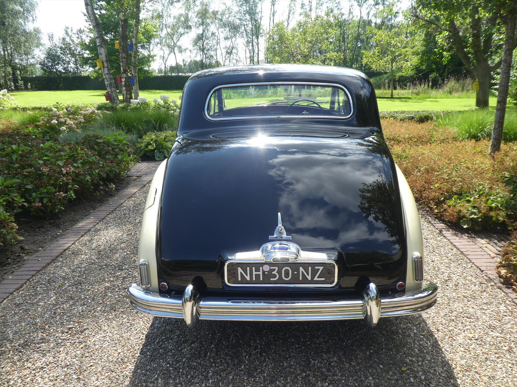 39644782-18.jpg