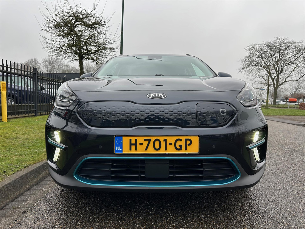 42728541-7.jpg