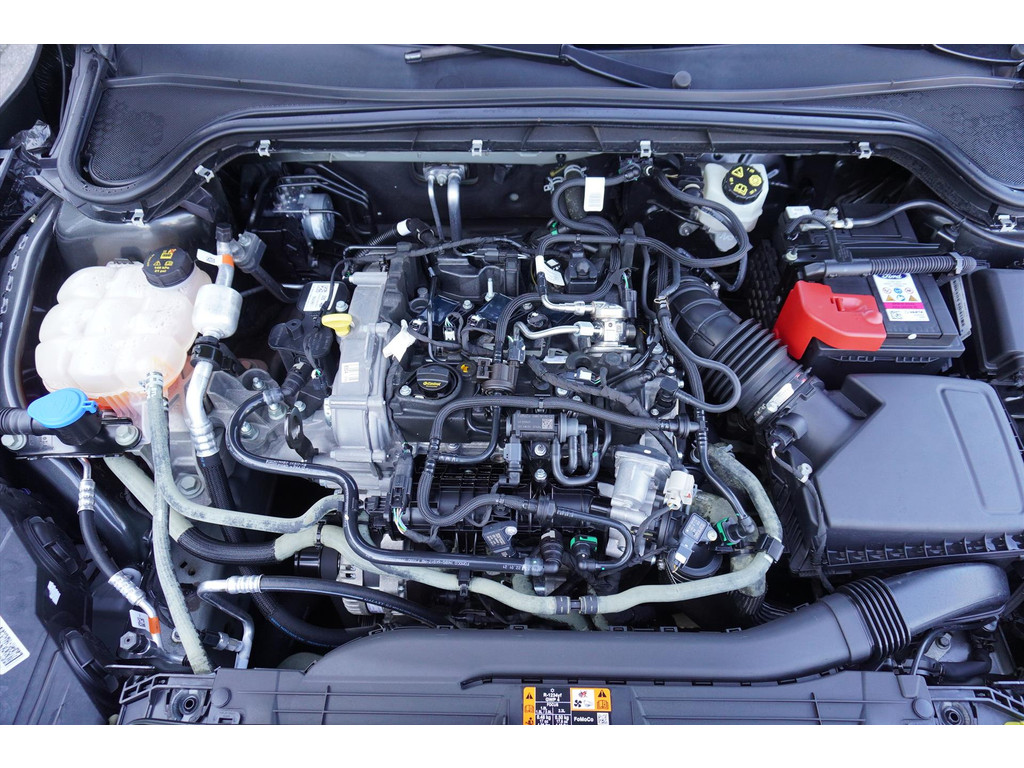 47725846-44.jpg