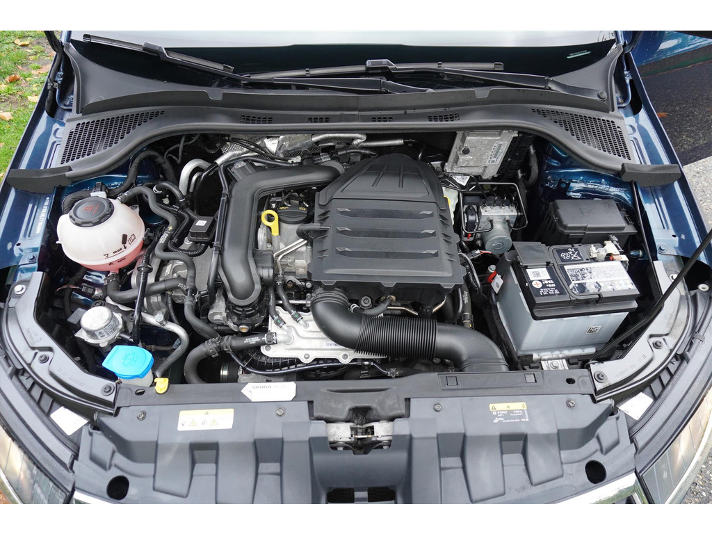 48527923-33.jpg