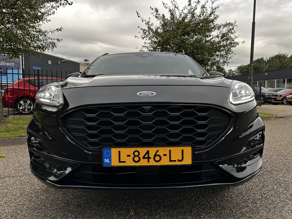 54633290-39.jpg