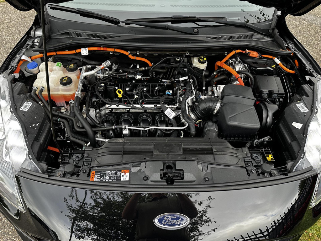 54633290-40.jpg