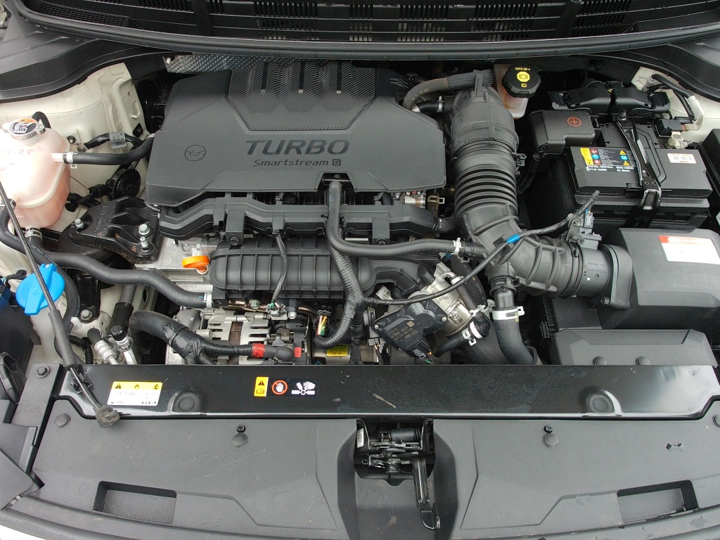 56454904-42.jpg