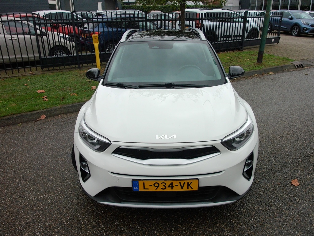 56454904-46.jpg