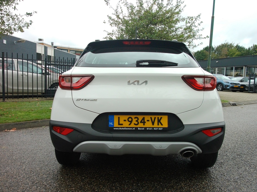 56454904-49.jpg