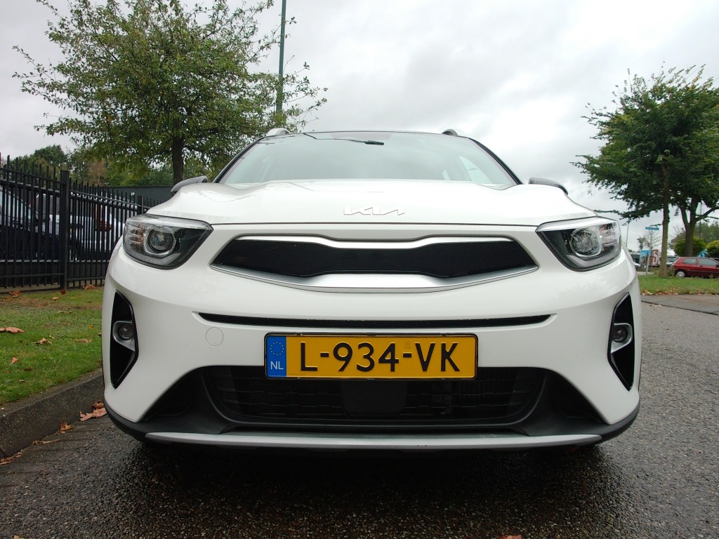 56454904-5.jpg