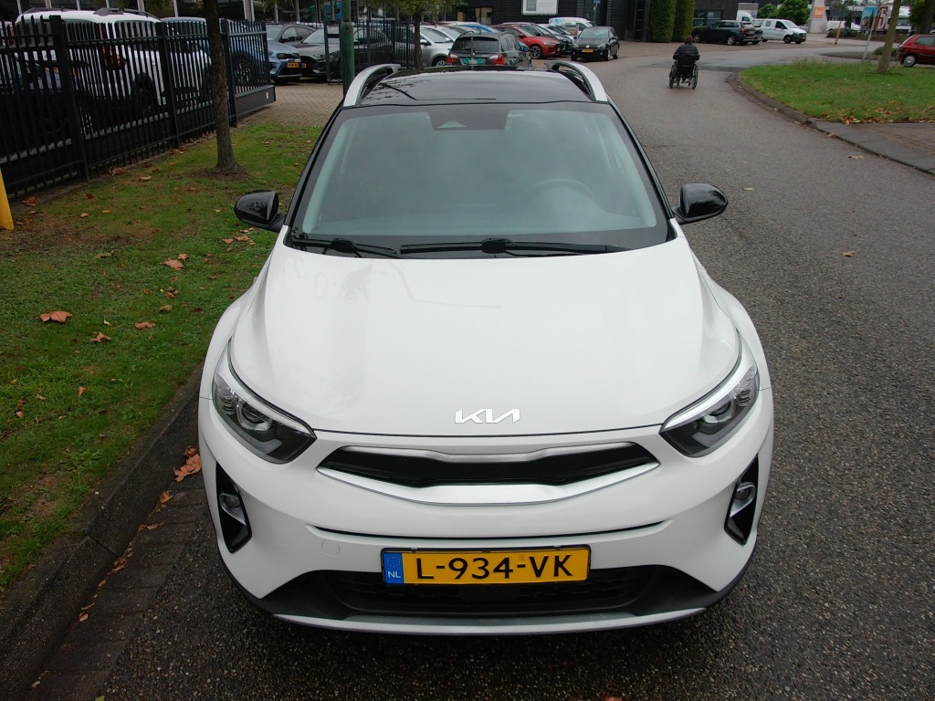 56454904-6.jpg