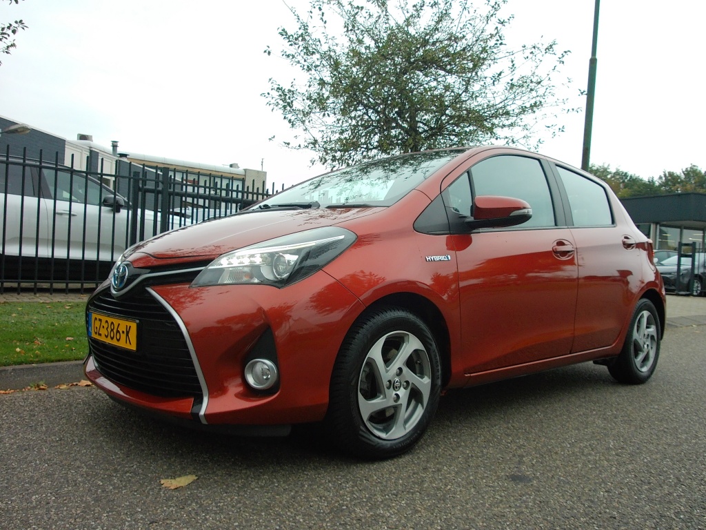 57556041