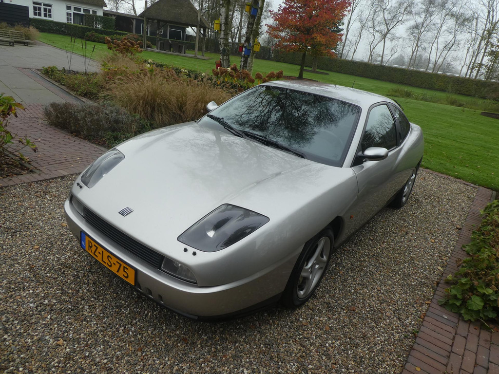 7291669-31.jpg
