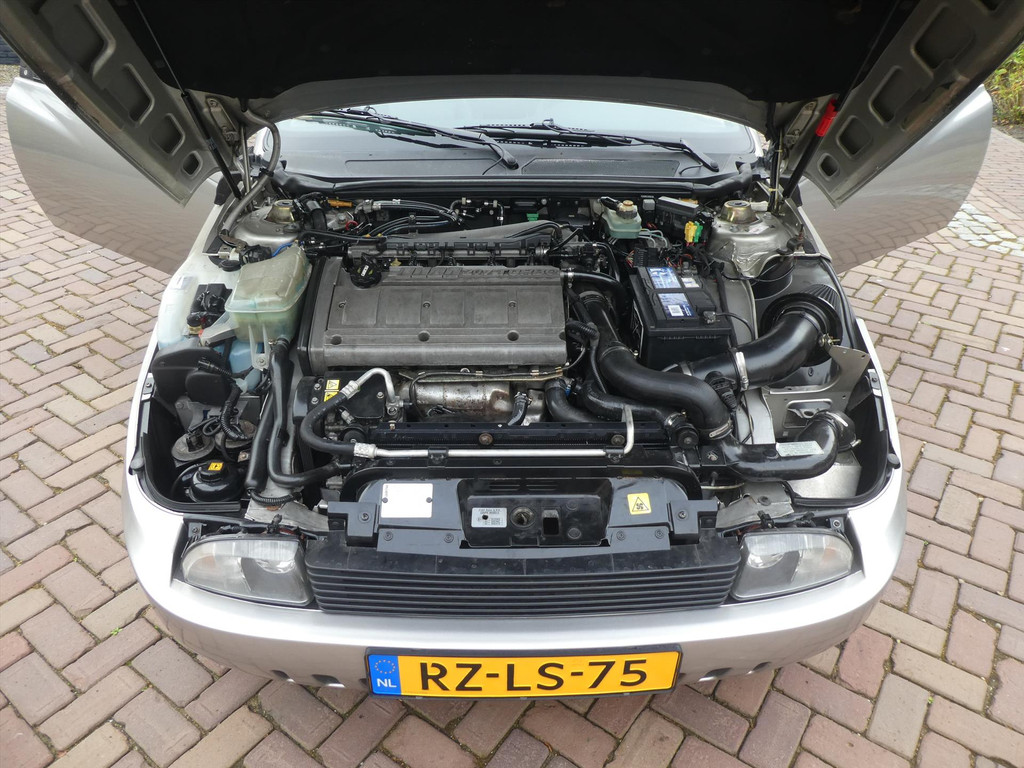 7291669-7.jpg